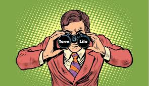 What is term life insurance? Advantages And Disadvantages Of Term Life Insurance Top 9 Facts