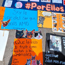 Ideas de carteles para llevar a la MARCHA POR LOS ANIMALES ...