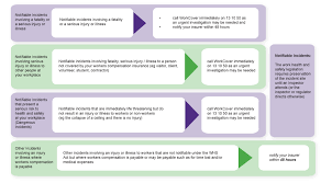 psychological injury management pim