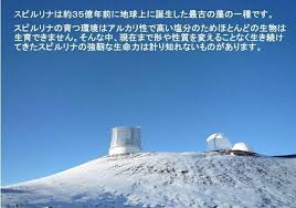 話題のヨウ素を含んだ良質のハワイアンスピルリナｃａ1800の誕生 風化カルシウムや風化貝カルシウム タスカルのことなら山崎屋酒店