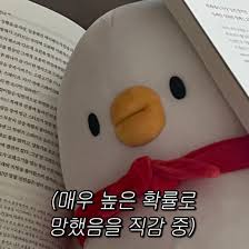 에라이 또 망했네 나만 이러는거 아니지..?🥺 . . . . . #공감짤#귀여운짤#유머짤#웃긴짤#인형짤#프사#짤#짤방 #현실#공감#응원#베베#멜롱#베베더오리