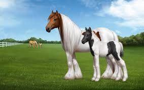 We have 53+ background pictures for you! Gypsy Cob Horse Or Irish Or Colored Cob Type Or Breed Of Horse Home From The British Isles Wallpaper Hd Wallpapers13 Com