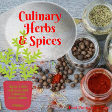 Culinary Herbs And Spices Making Your Food Mmm Good