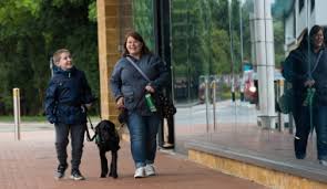 Check spelling or type a new query. How Are Assistance Dogs Trained To Support Autistic Children