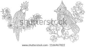 Explore 623989 free printable coloring pages for your kids and adults. Cardinal Bird Coloring Page At Getdrawings Free Download