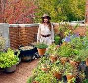 October 2024 Container Garden Tour!🪴My Rooftop Front Deck ...
