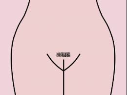 More Advanced Pubic Hairstyles The Landing Strip