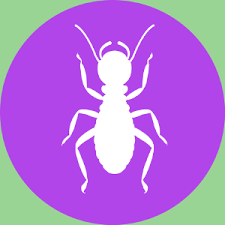 If you want your home treated correctly call b & b pest control today! Good News Pest Solutions Green Pest Control In Sarasota Bradenton
