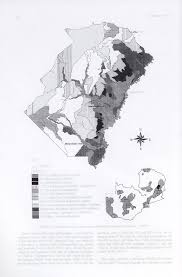 Image result for Decorsea schlechteri