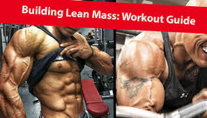best lean muscle workout plan