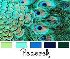 We have provided another set of ten lines on peacock in english. Color Harmony Peacock Color Scheme Color Harmony Peacock