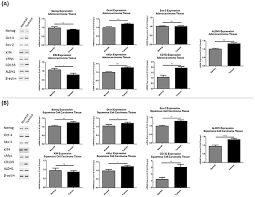 ~profile \ ext:php inurl:?article= / librarian as a writer dinas perpustakaan dan arsip daerah d i yogyakarta. Targeting The Cancer Stem Cell Marker Aldehyde Dehydrogenase 1 To Circumvent Cisplatin Resistance In Nsclc Oncotarget