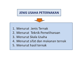 Pembahasan Lengkap Teori Karakteristik Usaha Peternakan Menurut Para Ahli Dan Contoh Tesis Karakteristik Usaha Peternakan Jasa Pembuatan Skripsi Dan Tesis 0852 25 88 77 47 Wa