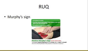 Image result for Murphy Sign