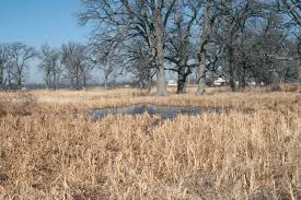 Floristic quality assessment index (FQAI) for vascular plants and mosses  for the State of Ohio