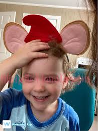 Cinderella Mouse Inspired Ears