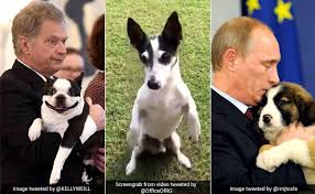 Well it happened just over one year ago and remains one of the more bizarre moments. Rahul Gandhi S Pidi And 7 Other Powerful Political Pets