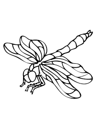 Get hold of those colored pencils or markers and find why colorit adult tinting publications are rated an average of 4 9 5 0 stars. Dragonfly Coloring Page Online Coloring Pages