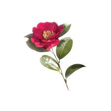 We did not find results for: A Glossary Of Wedding Flowers By Color