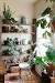 Garden Apartment Nyc