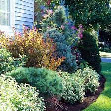 Use Evergreens To Make An Impact In Your Landscape Evergreen Landscape Backyard Landscaping Front Yard Landscaping