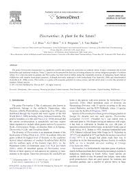 Image result for Plectranthus swynnertonii