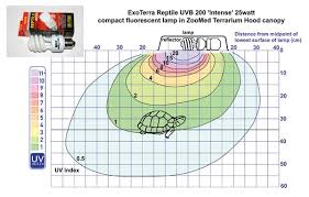 An In Depth Look At Uv Light And Its Proper Use With Reptiles