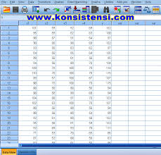 Uji Normalitas Dengan Grafik Histogram Dan P Plot Spss Konsistensi