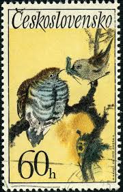 Birds On The Bat Forum Birds Perched Birds Flying Birds Aground Stamp Community Forum Page 15 Postage Stamp Art Postage Stamps Vintage Postage Stamps