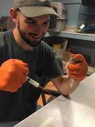 Who are the doctors at rancho santa fe? Wildlife Hospital New Mexico Wildlife Center