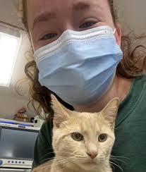 Veterinarians in Torrington