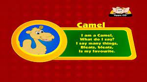 The sound camels make is called nuzzing. Animal Sounds In Hindi Camel Video Dailymotion