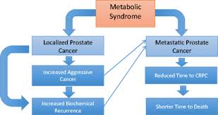 The pancreas is an organ that releases enzymes involved with digestion, and hormones to regular blood sugar levels. Metabolic Syndrome And Prostate Cancer A Review Of Complex Interplay Amongst Various Endocrine Factors In The Pathophysiology And Progression Of Prostate Cancer Springerlink