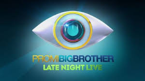 Bis sich sieger aaron troschke am finaltag über seine prämie freuen. Promi Big Brother Late Night Live 2014 Cast And Crew Trivia Quotes Photos News And Videos Famousfix