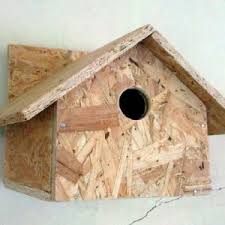 Nests of the social weaver house up to 95 individual chambers. Pdf Improved Design Of Nest Box For Indian House Sparrow Passer Domesticus Indicus