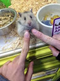 (so if you're reading this and you're not a patron: The Pact Has Been Sealed On We Heart It