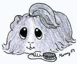Guinea Pig Drawing Bilscreen Choose your favorite cute pig drawings from millions of available designs. guinea pig drawing bilscreen