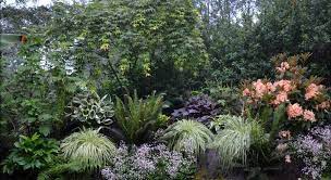 Seattle Garden Of Various Styles Garden Design Japanese Maple Garden Garden Design Shade Garden Design