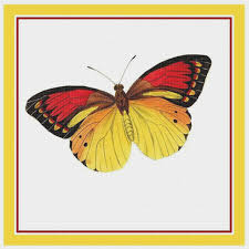 Shop from 4,000 patterns & kits. Colorful Aqua Tan Butterfly Counted Cross Stitch Chart Pattern