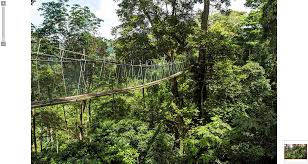 Types of tourism in malaysia. Brucke Im Wald Tourism Malaysia Blog