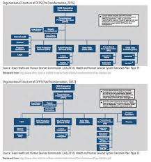 texas department of family and protective services hogg