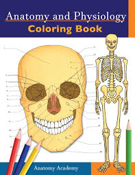Download Anatomy And Physiology Coloring Book Incredibly Detailed Self Test Color Workbook For Studying Perfect Gift For Medical School Students Doctors Nurses And Adults Academy Anatomy 9781914207044 Amazon Com Books