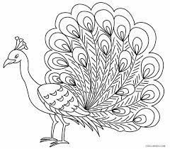 These peacock coloring pages are wild. Printable Peacock Coloring Pages For Kids