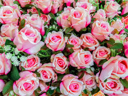 Our craft store in duluth, mn helps make creativity happen! Local Florist Flower Shop Floral Arrangements Duluth Mn The Rose Man