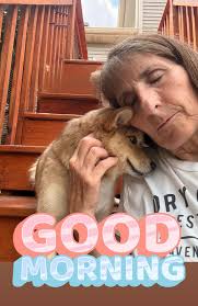 Foster needed for dog-friendly bonded pair