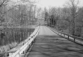 The WOODland Steward