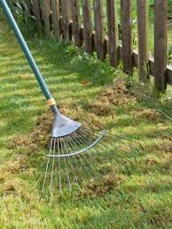 Thick thatch blocks water and fertilizer, and active grass growth helps speed your lawn's recovery. Pin On Ogrod