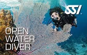 There's nothing but water for miles, unless they look at what's underneath them… running time: Ssi Open Water Diver Enriched Air Nitrox Kombi Monte Mare Rheinbach