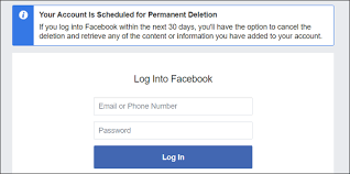 I have tried deleting app from one account, it shows message like this. How To Delete Your Facebook Account