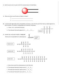 Learn vocabulary, terms and more with organic molecules are related to all living things because they exsit in all living things and are. Solved Name Pd Lipids Worksheet 1 Are Lipids Organic M Chegg Com